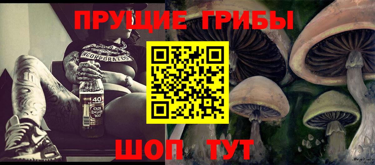 Псилоцибиновые грибы Cubensis  Вход с VPN  Корсаков 