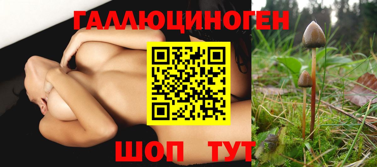 Псилоцибиновые грибы GOLDEN TEACHER Корсаков